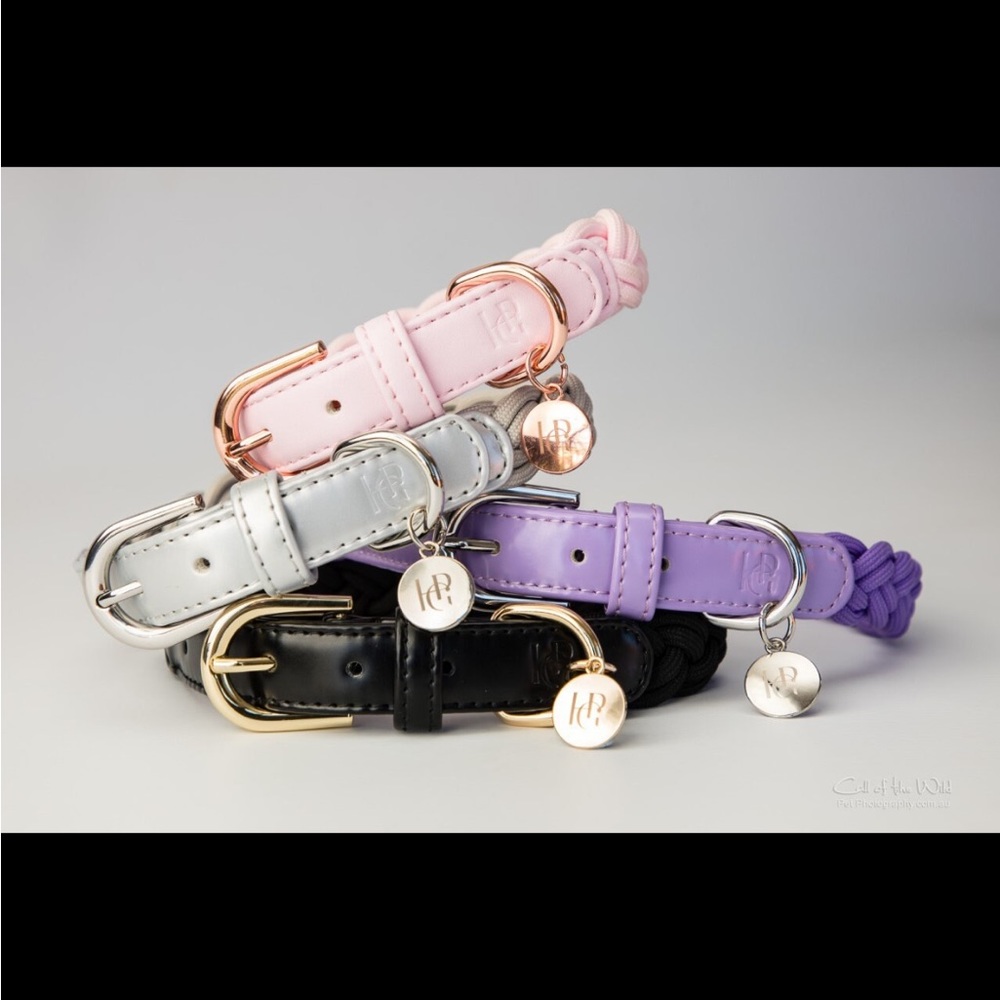 Black Braided Dog Collar | Gold Hardware & Leather Trim | X-Small